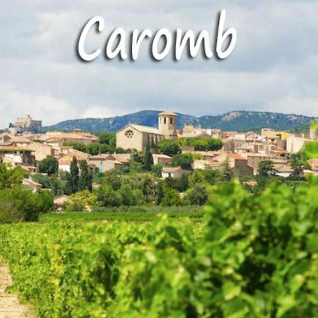 Belle Maison Provencale Au Pied Du Mont Ventoux Caromb ภายนอก รูปภาพ