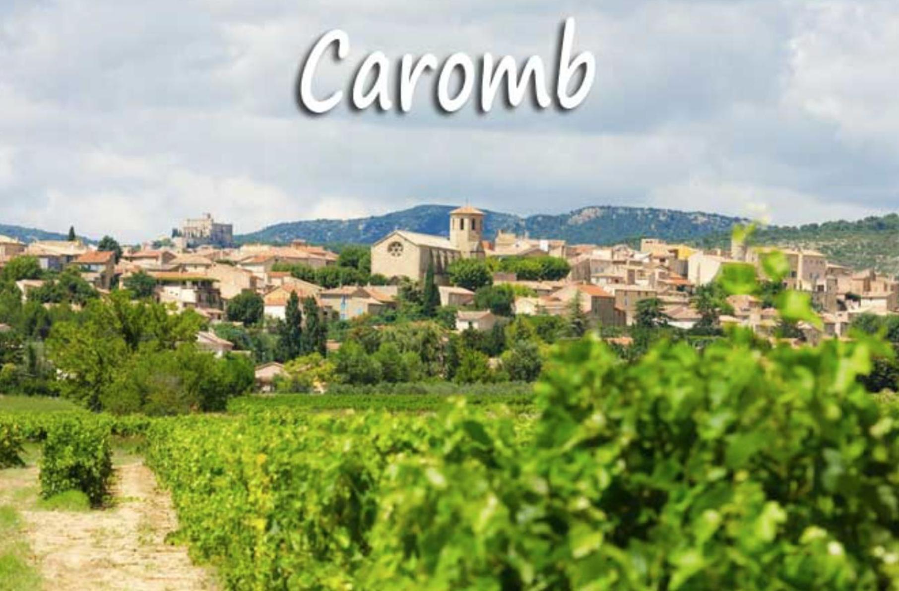 Belle Maison Provencale Au Pied Du Mont Ventoux Caromb ภายนอก รูปภาพ